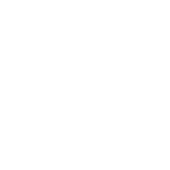 lowndes-county